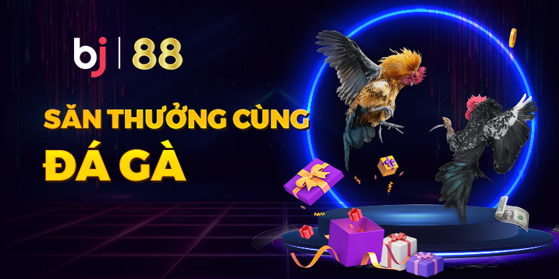 BJ88 nổi tiếng với sản phẩm cá cược chủ đạo là đá gà trực tuyến